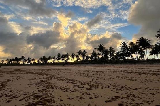 whatsapp image 2024-07-08 at 11.18.19.jpeg