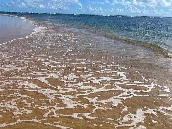 whatsapp image 2024-07-08 at 11.18.08.jpeg