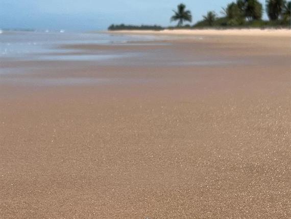 whatsapp image 2024-07-08 at 11.45.11.jpeg