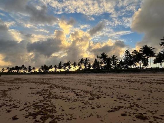 whatsapp image 2024-07-08 at 11.18.19.jpeg