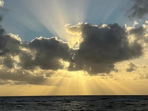 whatsapp image 2024-07-08 at 11.17.09.jpeg