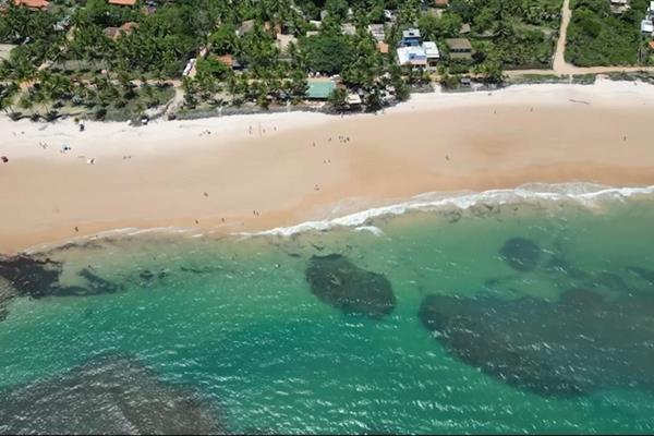 whatsapp image 2024-07-08 at 11.46.28.jpeg