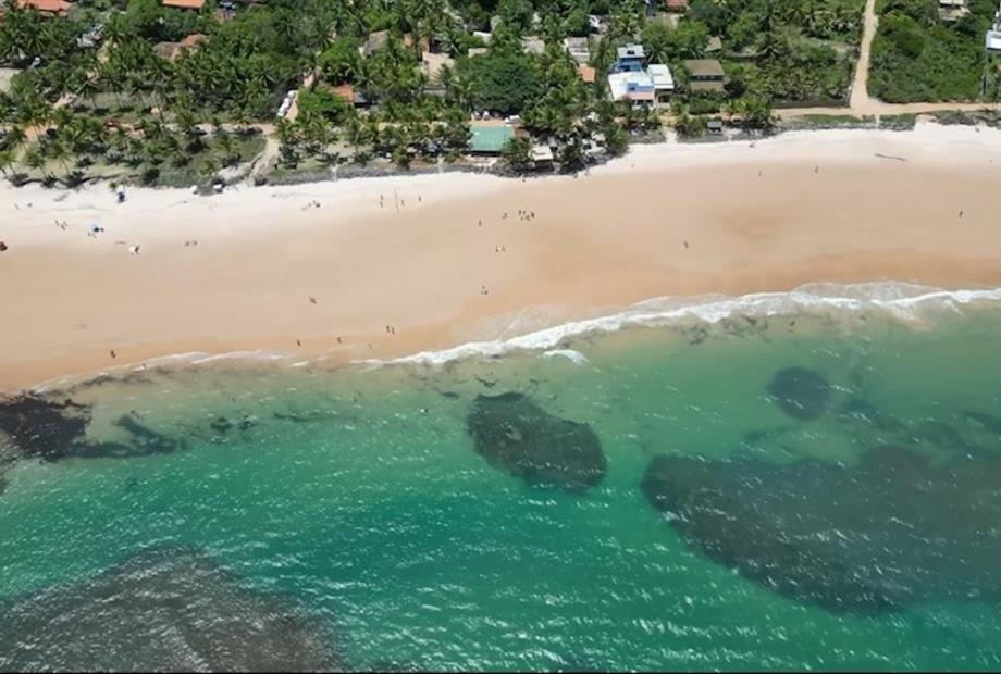 whatsapp image 2024-07-08 at 11.46.28.jpeg