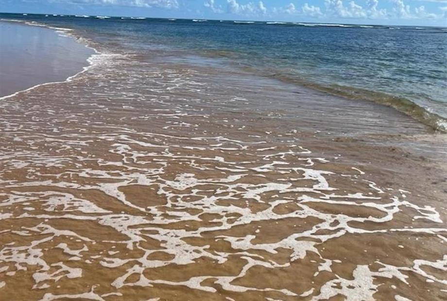 whatsapp image 2024-07-08 at 11.18.08.jpeg