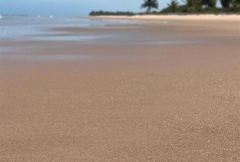 whatsapp image 2024-07-08 at 11.45.11.jpeg