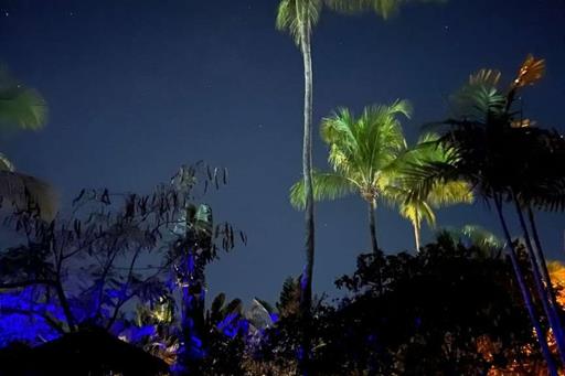 whatsapp image 2022-09-28 at 09.10.02.jpeg