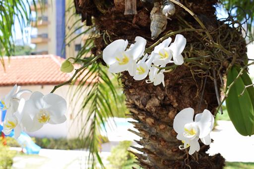 dsc_0604 (large).jpg