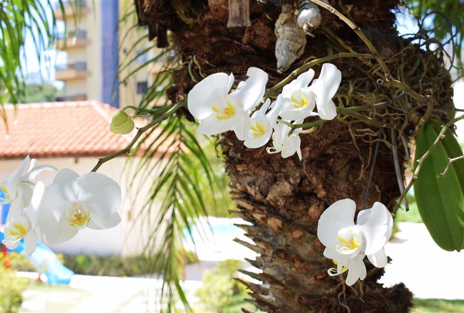 dsc_0604 (large).jpg