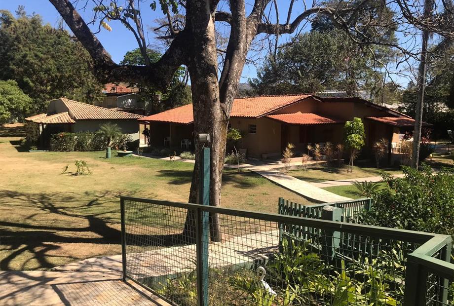 orquídea fora (4).jpg