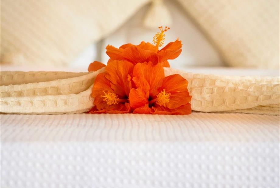 flor caitá baixa 1.jpg