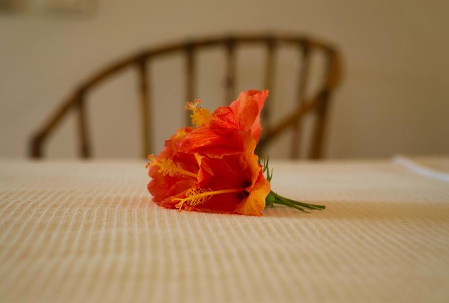 lte detalhes : baixa .jpg