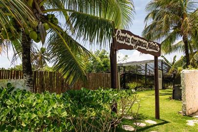 scpa - horta (1).jpg