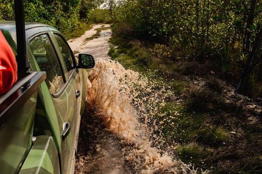 scpi - destino - variadas (20).jpg