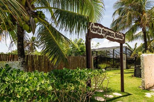 scpa - horta (1).jpg