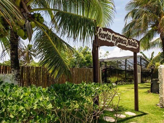 scpa - horta (1).jpg