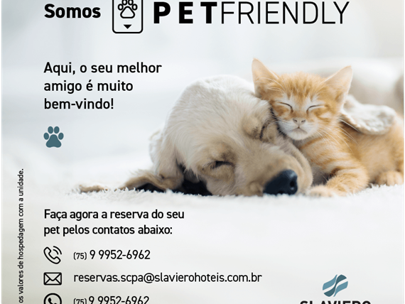 card-pet-friendly-slaviero hoteis_scpa.png