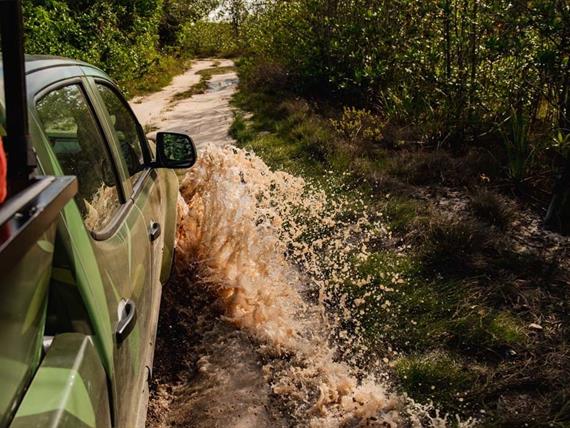 scpi - destino - variadas (20).jpg