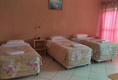 Apto Triplo Standard Solteiro