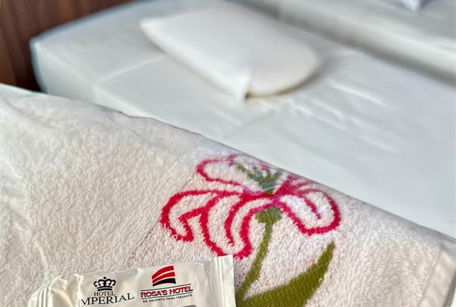 whatsapp image 2025-08-01 at 16.28.28 (1).jpeg