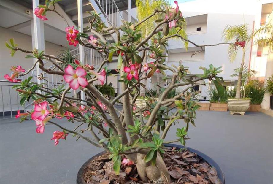 whatsapp image 2023-08-15 at 15.56.19.jpeg