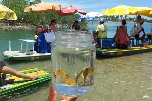 WhatsApp Image 2019-05-30 at 09.40.03 (1).jpeg