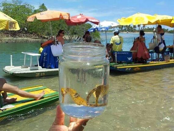 WhatsApp Image 2019-05-30 at 09.40.03 (1).jpeg