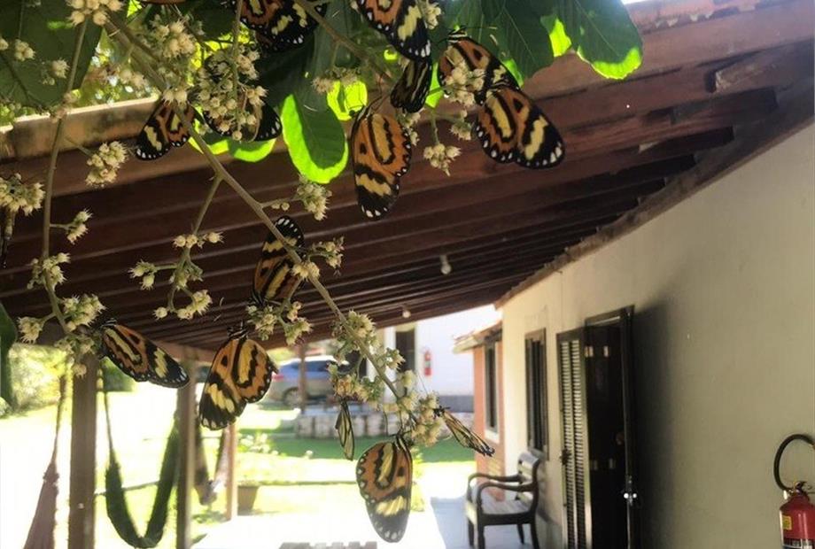 whatsapp image 2023-06-12 at 12.06.53 (4).jpeg