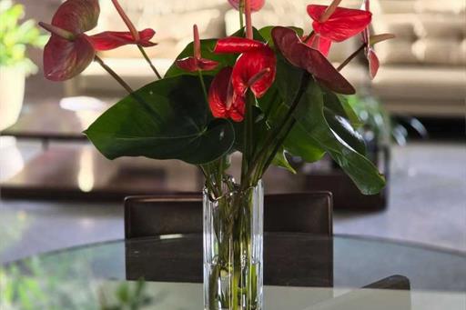 whatsapp image 2024-03-04 at 4.28.29 pm (1).jpeg