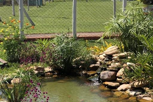 img_3423 (large).jpeg