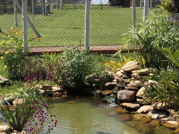 img_3423 (large).jpeg