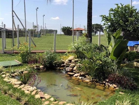 img_3425 (large).jpeg