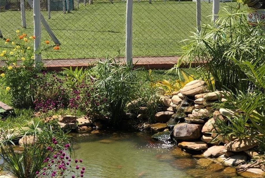 img_3423 (large).jpeg