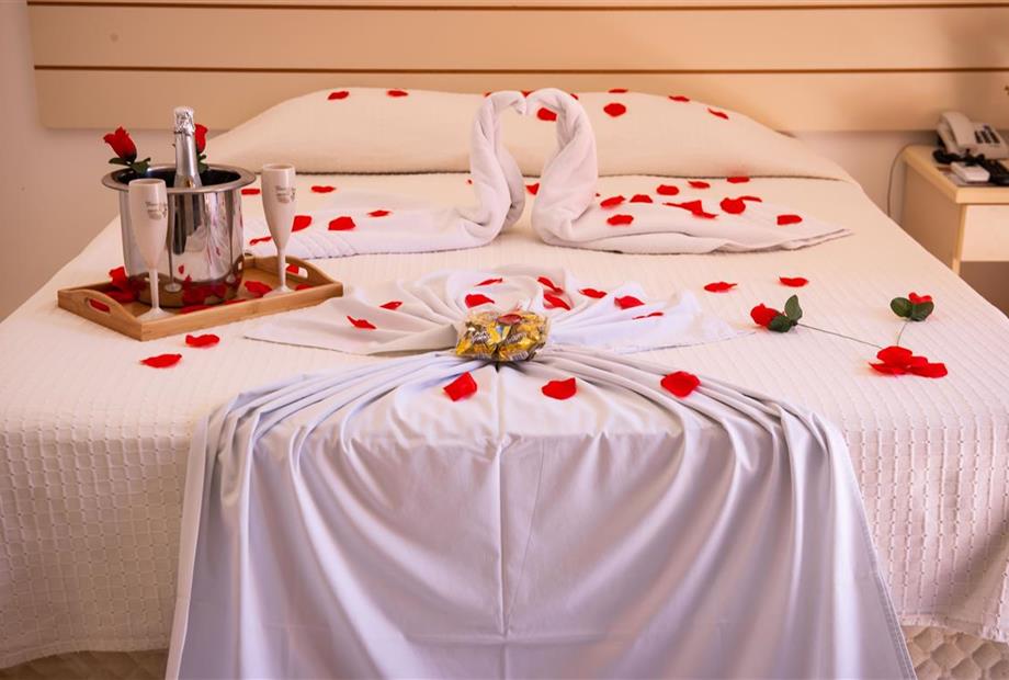 wa2_7704 (medium).jpg