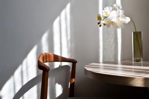 standard 05 quarto2 web.jpg