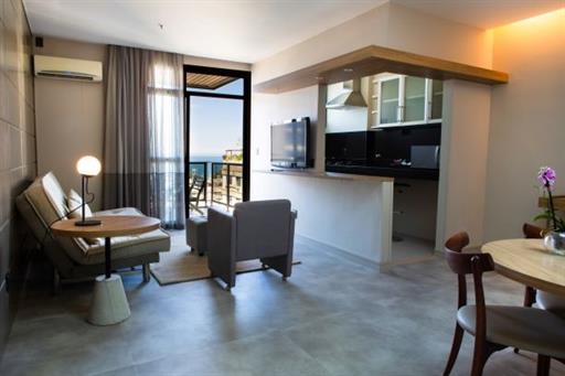 flat 02 sala web.jpg