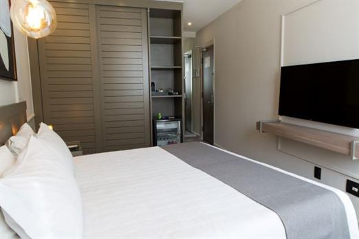 standard 05 quarto3 web.jpg