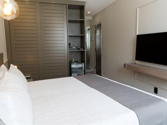 standard 05 quarto3 web.jpg