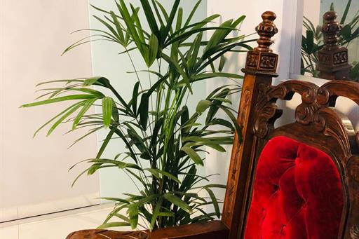 WhatsApp Image 2019-08-21 at 16.27.54.jpeg