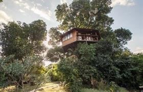 Casa Da Árvore do Lendas do Capão Pousada
