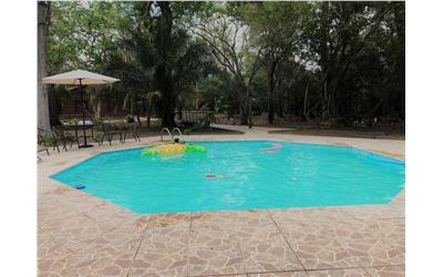 Swimming pool area