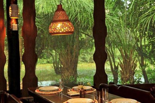 Table corixo overview.jpg