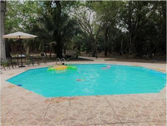 Swimming pool area