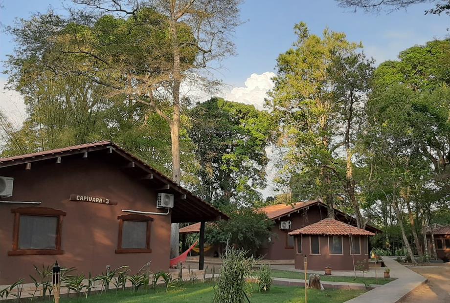 External area 3.jpeg