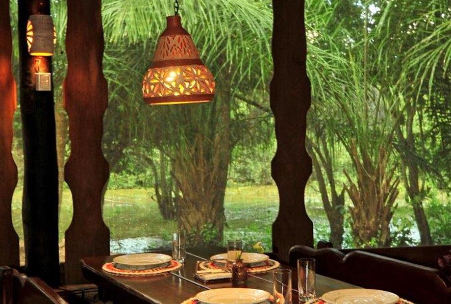 Table corixo overview.jpg