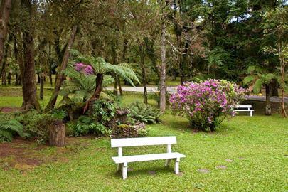 Jardim-001.jpg