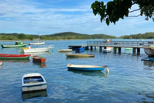 whatsapp image 2025-02-20 at 12.22.41 (6).jpeg