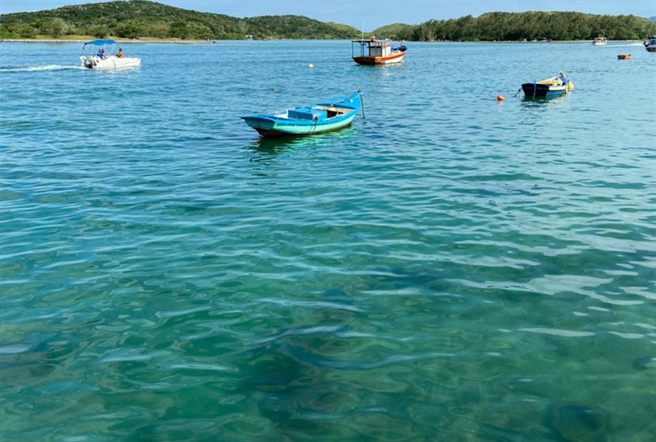 whatsapp image 2025-02-20 at 12.22.41 (7).jpeg