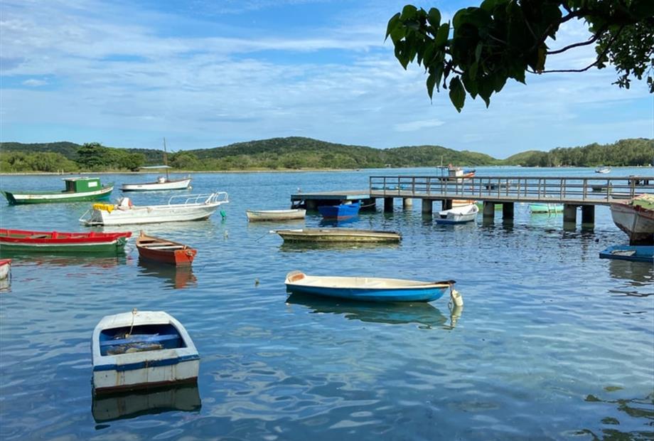 whatsapp image 2025-02-20 at 12.22.41 (6).jpeg