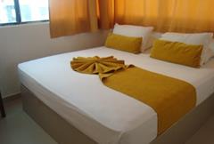 Doble o Individual Standard