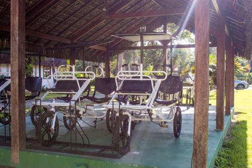 c+¦pia de img_2232.jpg